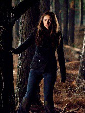 Upírske denníky / The Vampire Diaries 01x17 - Bouře (Let the Right One In)