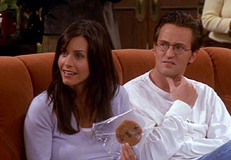 Priatelia 07x03 - Rodinný recept (The One with Phoebe's Cookies)