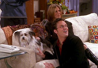 Priatelia 07x08 - Jak Chandler neměl rád psy (The One Where Chandler Doesn't Like Dogs)