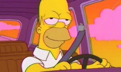 Simpsonovci 13x16 - Homerova zelená medicínka (Weekend at Burnsie's)