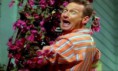 Dva a pol chlapa 07x12 - Fart Jokes, Pie and Celeste (Fart Jokes, Pie and Celeste)