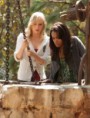 Upírske denníky / The Vampire Diaries 02x06 - Plán B (Plan B)